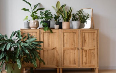 Tendenze di Arredo 2024: Sostenibilità, Morbidezza e Natura